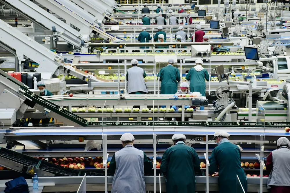 Trabajadores en una línea de producción